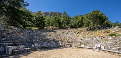Priene, an Ionian city situated on the ancient mouth of the Maeander, with its port at Naulochon. 