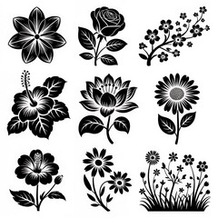 Elegant black and white floral silhouettes collection of vector graphics featuring various flower types for design and decorative purposes