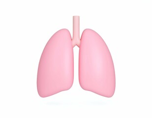 Lungs in the white background Medical concept 3d rendering