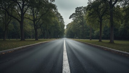 Fototapeta premium Empty Asphalt Road In Park