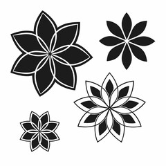 Geometric Blossoms: An artistic composition showcasing the captivating symmetry and beauty of meticulously crafted floral designs in a striking black and white color palette. 