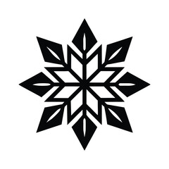 Snowflake with Symmetrical Pattern Winter Icon Vector Illustration
