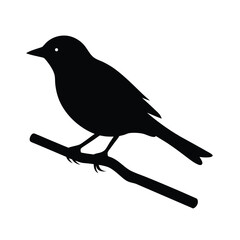 Obraz premium Vector Silhouette of a Bird Perched on a Branch Icon Vector Illustration