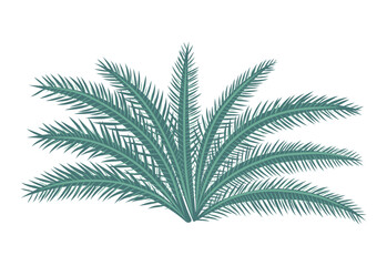 Naklejka premium Seaweed icon. Ocean plants, underwater flora, seagrasses. Aquatic plant, algae, tropical coral element. Flat vector illustration isolated on white background