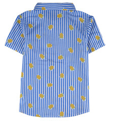 t shirt isolated on white