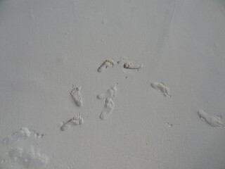 Footprints in the sand