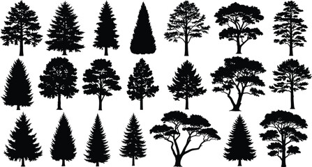 silhouettes of trees