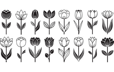 Set of Tulip Flower line art 