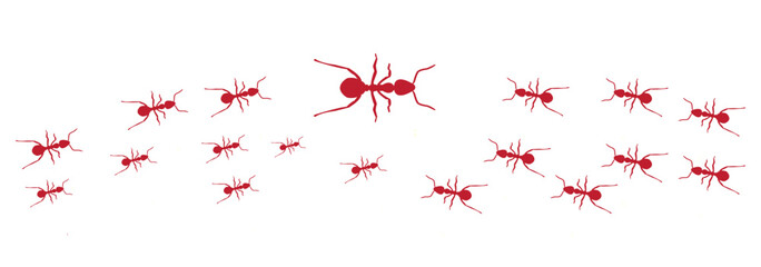 Ants trail lines of working ants on white background Groups of insect marching or walking
