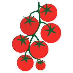 red tomatoes vector isolated on a white background, tomato, red, isolated, tomatoes,vector,illustration.