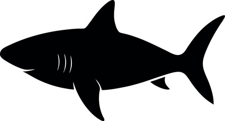 Fototapeta premium shark vector illustration