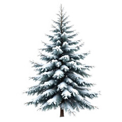 A snowladen evergreen tree, its branches draped in thick white snow, isolated on transparent background