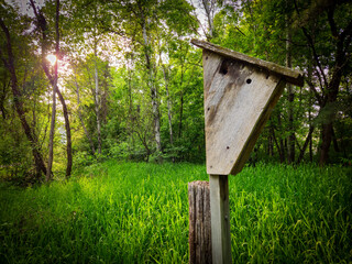 a rustic wooden birdhouse in a forest clearing. the sun creates a slight lens flare in the distance. beautiful nature design element.