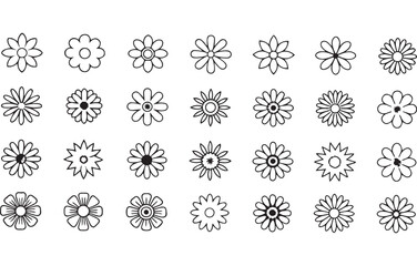 Set of Daisy Flower line art 