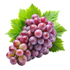 Fototapeta premium bunch of grapes isolated on white
