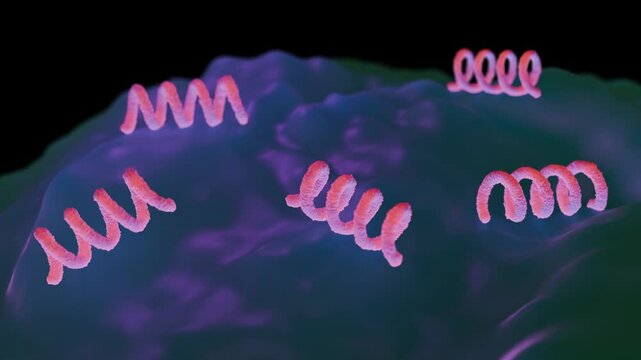 Treponema pallidum: The Syphilis-Causing Bacterium