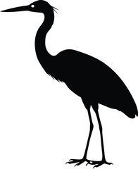 silhouette-of-a-heron-bird-standing-on-a-white-bac.eps