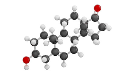 Androstenolone (DHEA) molecule isolated on transparent background. Detailed 3D model of a steroid hormone. Molecular formula: C19H28O2. Chemical model: Ball and Stick. 3D illustration.