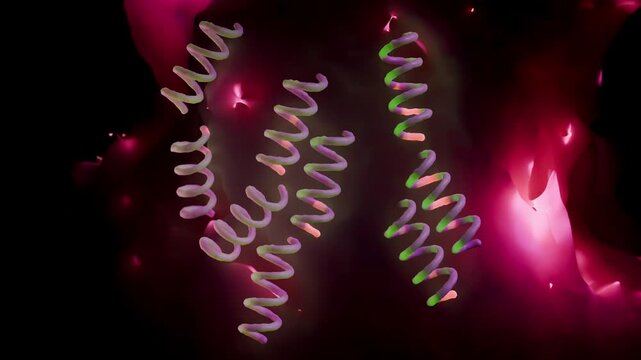 Treponema pallidum: The Syphilis-Causing Bacterium