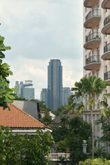 Modern Urban Scenery Blending High-Rises, Tropical Vegetation, and Weathered Architecture