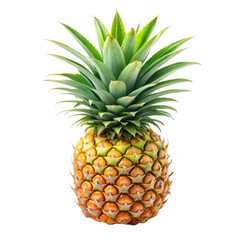 pineapple on white background