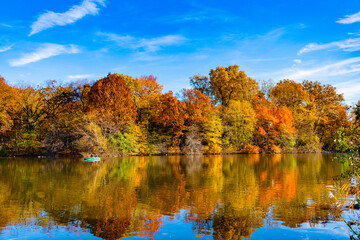 Autumn nature in Central park. Seasonal fall landscape. Park boat in autumn pond. Scenic fall. Central park in autumn. Autumn landscape. Boat in pond. Fall nature landscape. Romantic rowboat rides