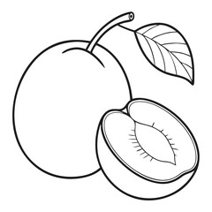 Simple Purple Plum Fruit with Green Leaf – Vector SVG Illustration