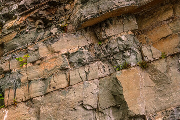 Layered rock formation with green sprouts. The natural texture of the rocks with small green sprouts emerging from the cracks. The interplay of geological layers and delicate vegetation highlights.