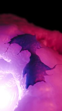 Dendritic Cells: Guardians of Immunity