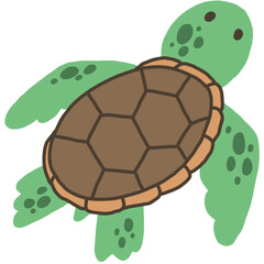 Sea turtle