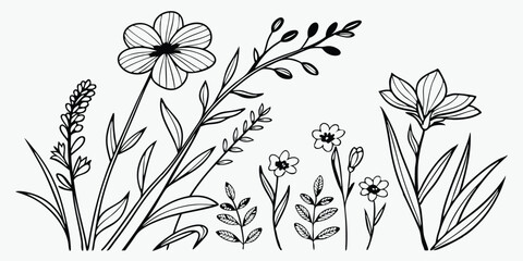 Hand drawn wildflower line art collection