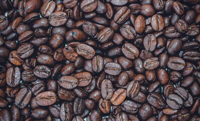 coffee beans background