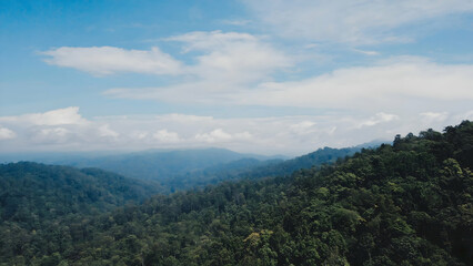 Expansive view of lush green mountains under a clear blue sky in a serene natural landscape during the daytime