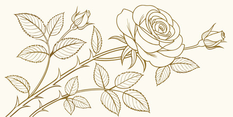 Elegant Rose Line Art Vector – Hand Drawn Floral Illustration with Leaves and Buds