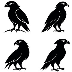 Four Silhouette Illustrations of Predatory Birds of Prey, Detailed Black and White Designs