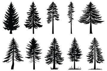 Obraz premium set of pine trees silhouettes vector design 