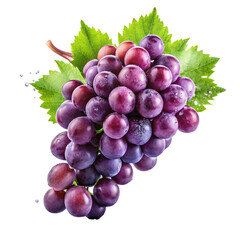 Fototapeta premium bunch of grapes isolated on white