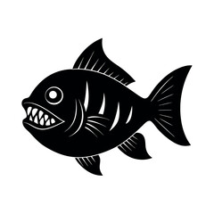 fish isolated on white