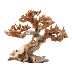 Intricate Driftwood Bonsai Tree on Green Screen