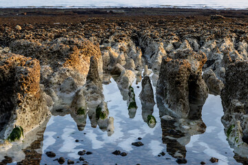 Low tide at the beach at Peacehaven, with rock pools and reflections