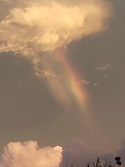 Obraz premium rainbow in the sky