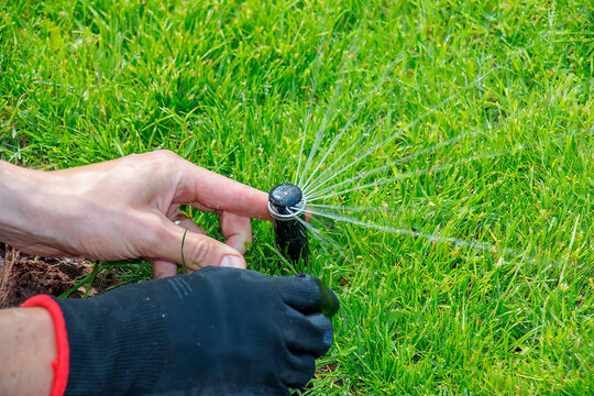 A gardener's gloved hand adjusts a sprinkler to water the lawn, keeping grass in good condition. Close-up.