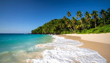 Tropical beach scene (4)