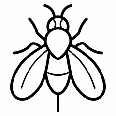 Fly outline icon on white background