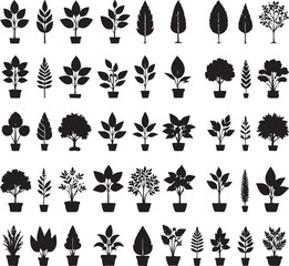 plant silhoutte many 