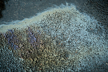 Colorful gasoline or oil spill creating a rainbow sheen reflecting on a wet asphalt road surface.