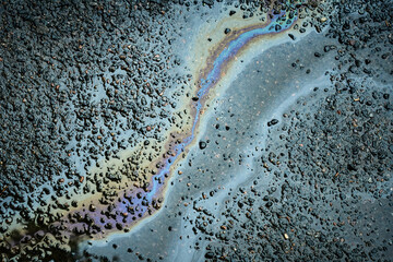 A colorful oil slick spreads across the wet pavement, showcasing vibrant hues under soft light. Water droplets magnify the colors, creating an artistic urban display.