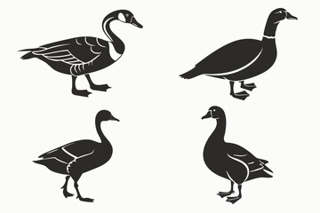 Obraz premium set of geese