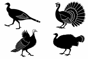 Obraz premium set of silhouettes of birds