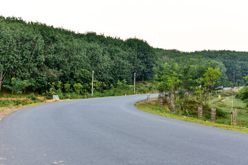 Winding road through lush green forest.